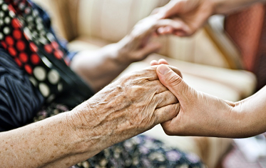 Palliative Care Services